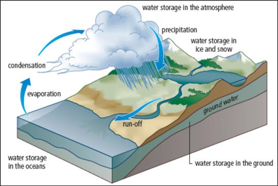 The Water Cycle (continued) The water cycle occurs everywhere, not just oceans w Water evaporates when it is warmed, and then condenses in the atmosphere as clouds when it cools and falls as