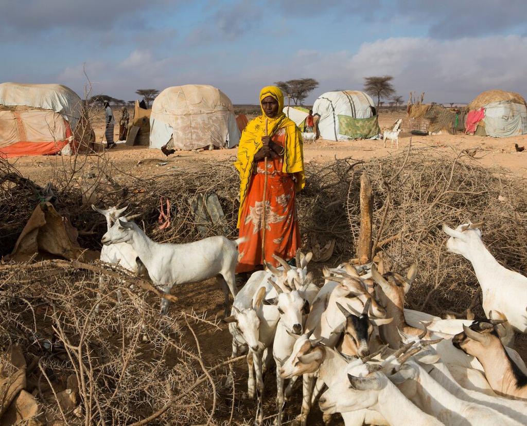 SOMALIA State-by-State Drought