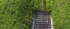 Erosion from disturbance or heavy use Pesticides, oil from equipment Litter