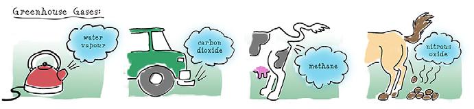 Carbon dioxide If you have smelled the fumes from a car or snowmobile, you have got a nose full of carbon dioxide (CO 2 ) at the same time.