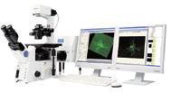 Cell analysis and bioimaging technology illustrated 2/ 5 Fluorescence s and confocal laser scanning s A fluorescence offers features that the cells stained with a fluorescent dye are exposed to light