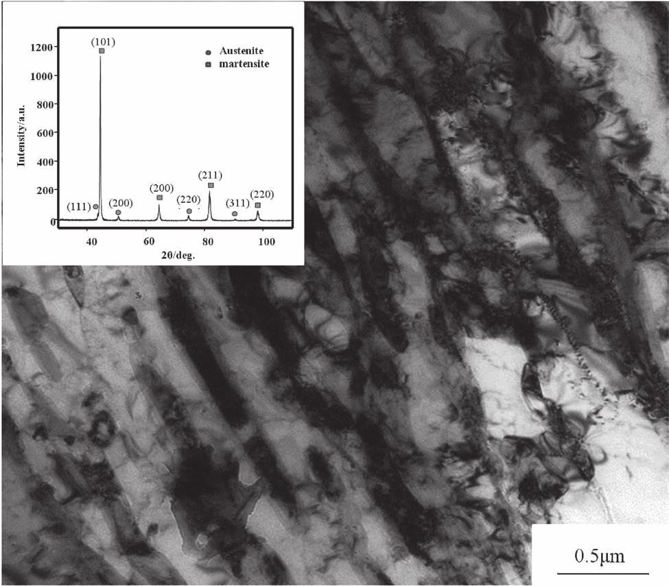 study on the reversed austenite formation during intercritical annealing has been done using electron backscatter diffraction (EBSD) and transmission electron microscopy (TEM).