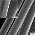 Biological Microthreads for