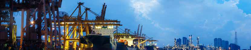 IoSCM Level 5 Import and Export Management UNIT SELECTION Core Units Port and Shipping Management Shipping and international trade Business strategy in shipping Port operations management Agile ports