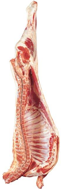 AUS-MEAT Standard Carcase Trim Trimming is limited to the removal of: Feet Between the tarsus and metatarsus Testes, Penis, Udder and cod fat or udder fat Tail No longer than 5 coccygeal vertebrae