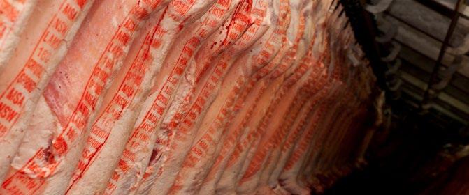 Identifying carcase category descriptions by dentition Category is an objective way of describing a carcase for the purposes of trading sheepmeat products.