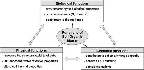 SOIL FUNCTION, SOIL HEALTH Soil OM is