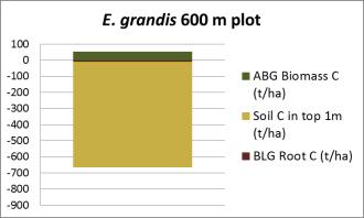 aboveground biomass