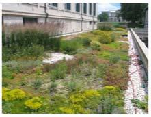 Best Practice Green Infrastructure Allows for stormwater management close to its source