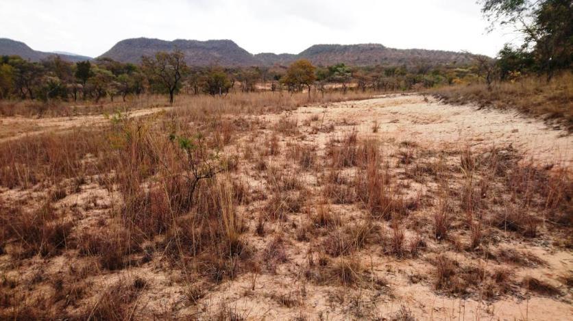 Area to be transformed for cultivation Approximately 340 hectares The current land-use of the proposed development site is characterised by crop cultivation.