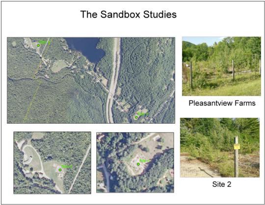 Beginning in 1982, a series of sandbox experiments were conducted in an attempt to further understand the sources and role of nitrogen in the long term development of productive ecosystems.