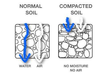 Effects of Agriculture In BC, there is a problem that is opposite to soil degradation, and that is soil compaction Soil compaction is when the soil is squeezed and squished together removing any