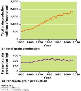 Global Grain Production 1950-2006 The Green Revolution Industrial agriculture (agribusiness)- applies the techniques of the Industrial Revolutionmechanization and standardization-to the production