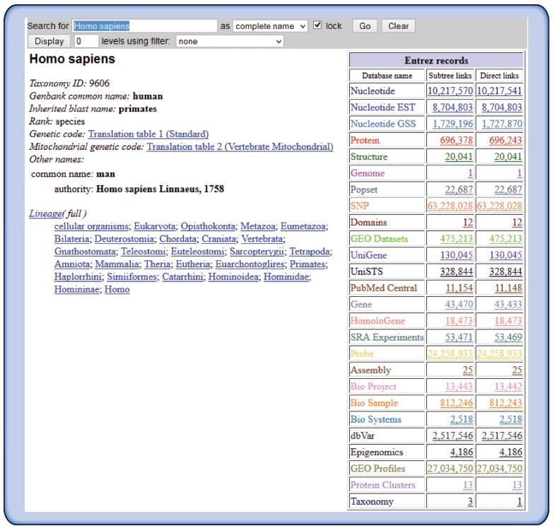 Access to NCBI databases via Taxonomy Browser B&FG 3e Fig.