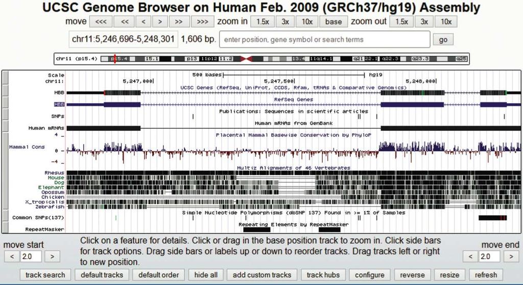 Genome Browsers: UCSC B&FG 3e Fig. 2.12 Page 51 Explore the browser!