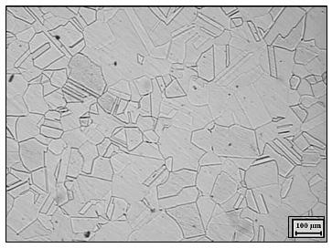 Samples for optical metallograpy were prepared from longitudinal sections of fractured specimens and were observed under Leica optical microscope fitted with image analysis software.