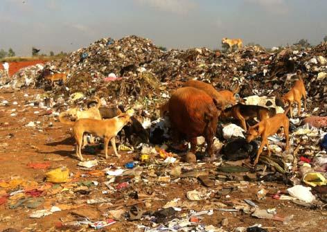 Introduction and background (Organic) waste management in India