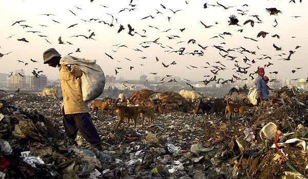 industrial and hospital waste, agricultural waste Kumar S et al.