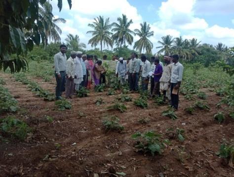 Many Progressive farmers and Horticulture Officers participated in the