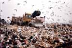 Garbage Municipal Solid Waste (MSW) ENV