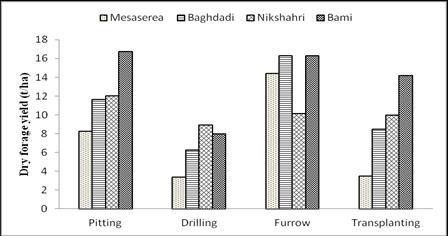 Figure 3. Effects of different planting methods on dry forage yield in highly saline soils According to Fig.