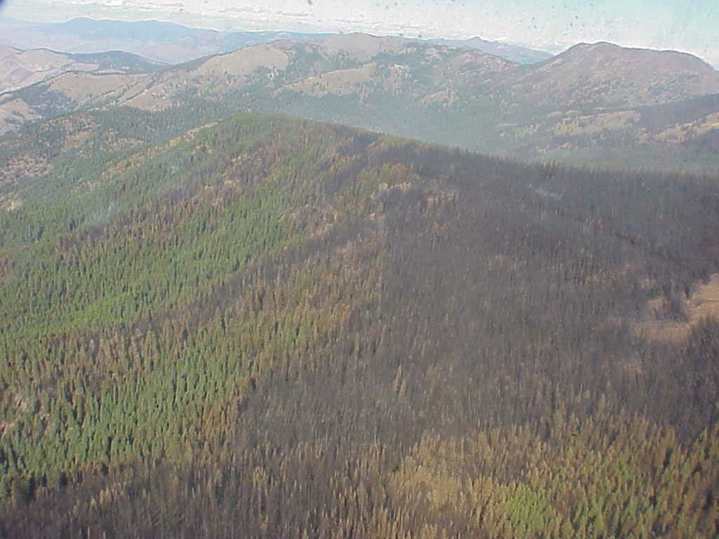 2002 Prescribed Fire Effects Dependent on: Fuel Moisture