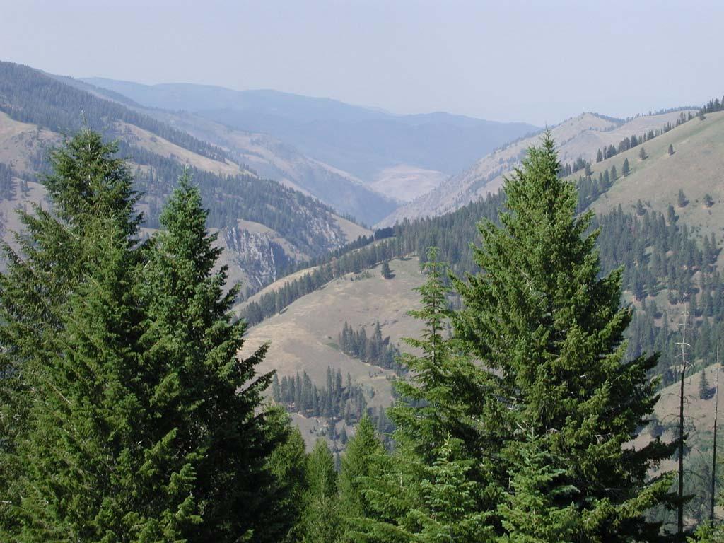 Rapid River Overview West-Central Idaho 40,000 acres Roadless with Wild and Scenic River status