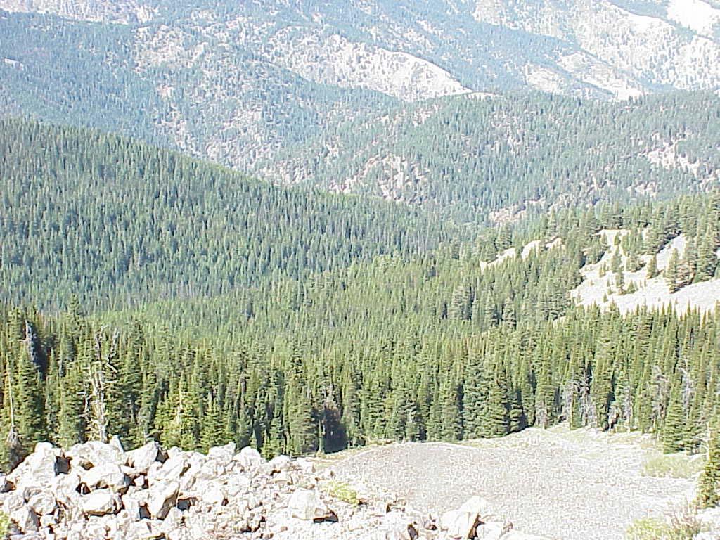 Rapid River Overview Continued Forest Forest Types Above Above 5800