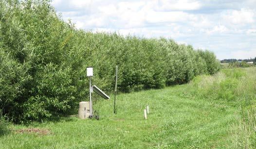Example 4 Hypothetical DAIRY Grazing A short rotation woody shrub buffer for bedding or biomass production (60%). Managed closed canopy streambank edge (20%) Rotationally grazed filter strip (20%).