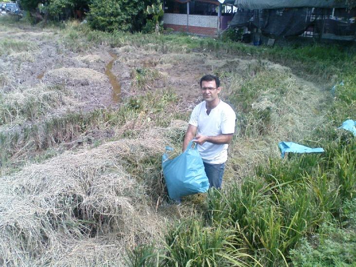 Collection of sample Around 10 kg of rice