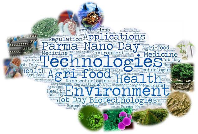 Our contribution: The PARMA NANO-DAYs: a positive example of holistic vision The series of conferences PARMA NANO-DAYs brought together scientists from different scientific disciplines, working