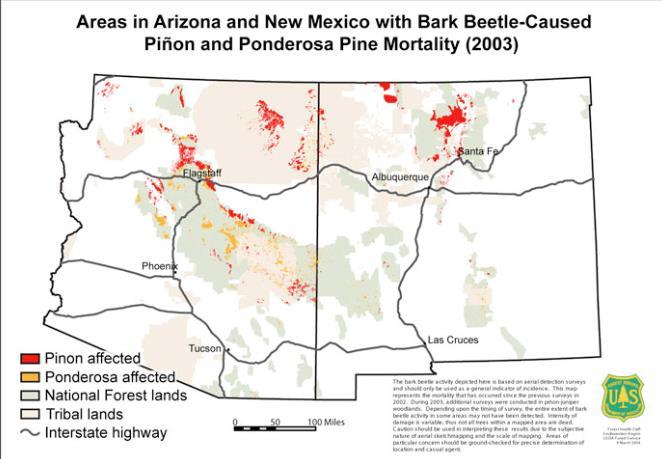 Bark beetle outbreaks in California and the southwestern U.S.