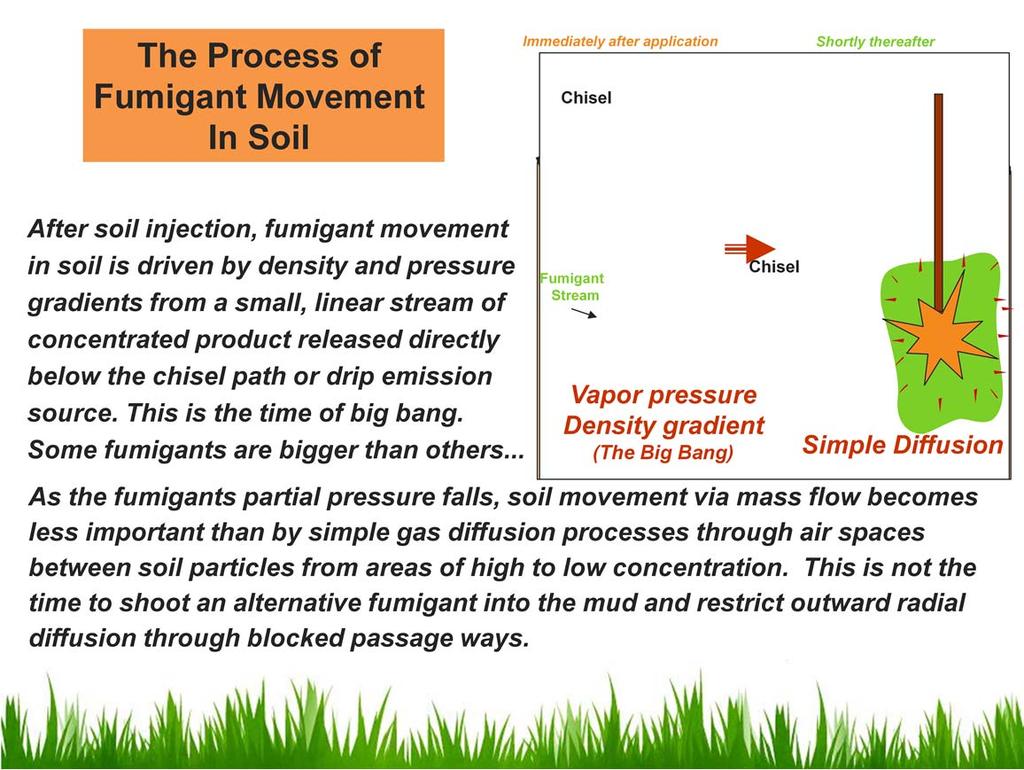 To understand soil fumigation, it would be helpful to provide a simplified description of the process of fumigant movement in soil.