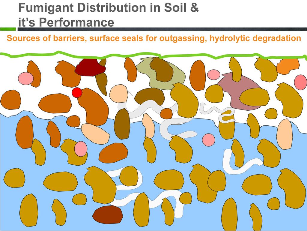 Fumigant movement within and out of soil can also be determined by physical and environment factors.