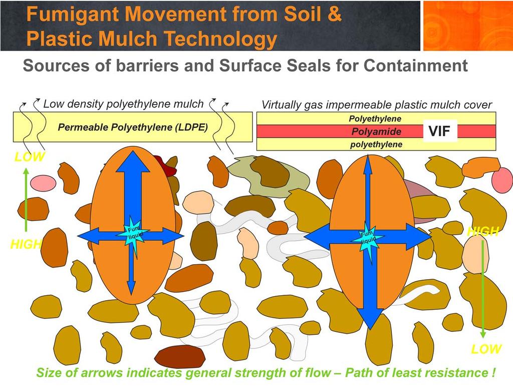 In this illustration, the presence of a gas impermeable plastic mulch cover can significantly reduce the upward movement and escape of fumigants from soil.