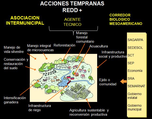 Early Action REDD+ Areas Intermunicipal Associations Territorial Management Entity Mesoamerican Biological Corridor Wildlife managmement Soil conservation and restoration Watershed management