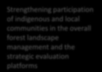 mechanisms Program (2-7 years) Increased institutional and local capacity, and sustainable investment to address the direct and underlying drivers of deforestation and forest degradation in the