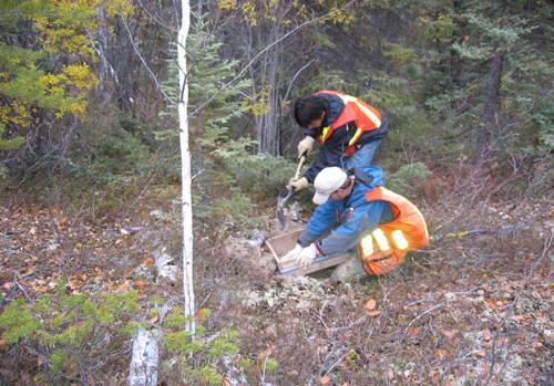 1998-2009 ENVIRONMENTAL STUDIES Environmental baseline studies have been conducted in the region of the mine & along the proposed access road corridor including: Fish & fish habitat Wildlife biology