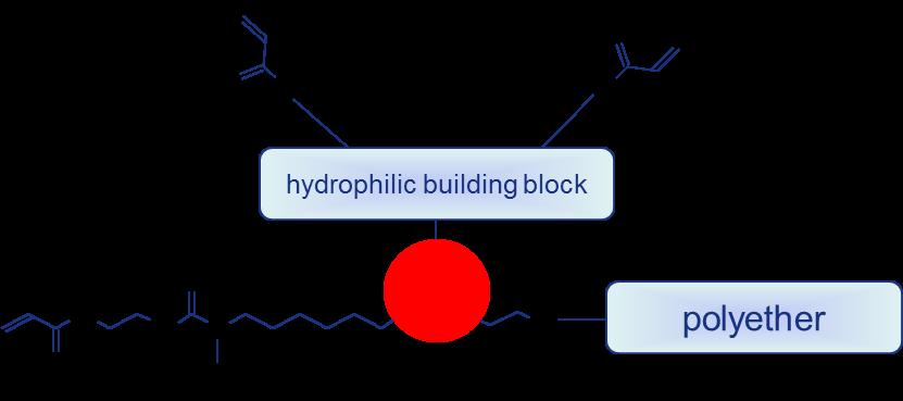 For a water dilutable system it is necessary to have a molecular design that is dominated by hydrophilic groups to make the molecule completely water soluble.