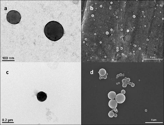 SAMPLE AND SEPARATE Solid particle formulation of poorly soluble compound TMP001 (logp=10,417) Microparticle formulation and nanoparticle