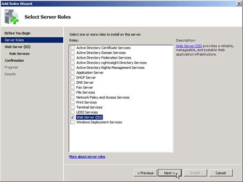 5. In the Select Server Roles page, enable Web