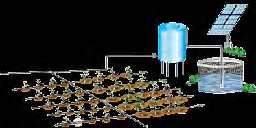offers an effective solution: Jain Solar Powered Drip irrigation especially designed for farmers, who do not have access to conventional power and has small land holding.