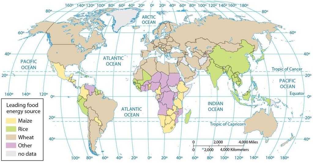 Dietary Energy by Source (pg. 352) # s 11-13 11. According to the map of dietary energy by source, wheat is the leading energy source in a. Algeria, Sudan, and Ethiopia. b. Bolivia, Peru, and Brazil.