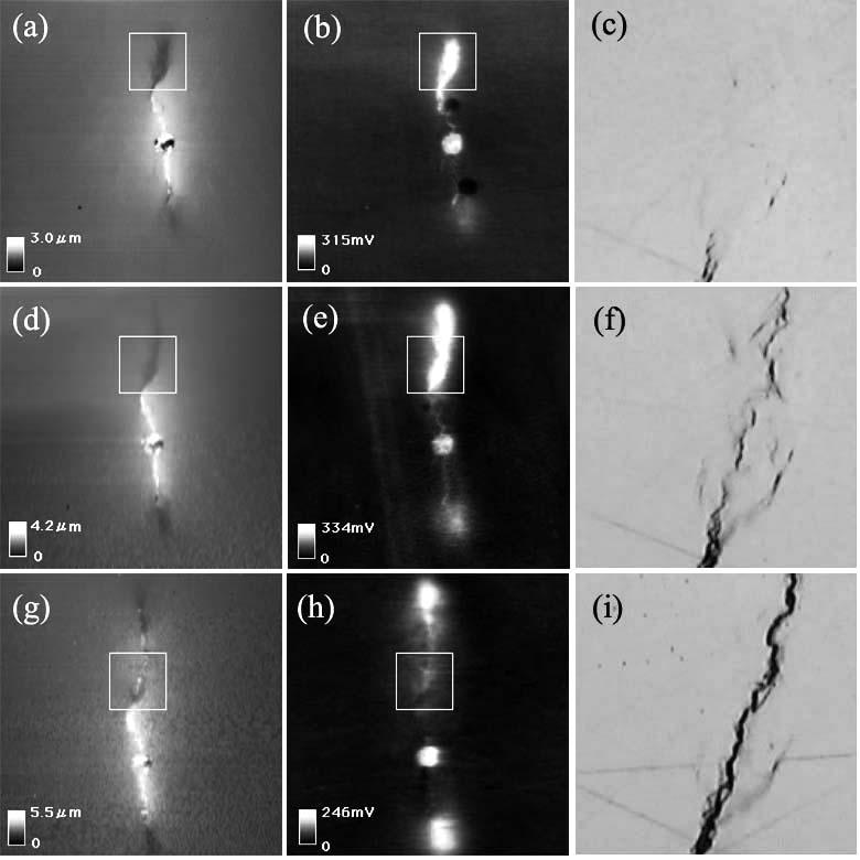 Fig. 4 SKFM images of whole cracks and optical microscope images surrounded by square line in SKFM images.