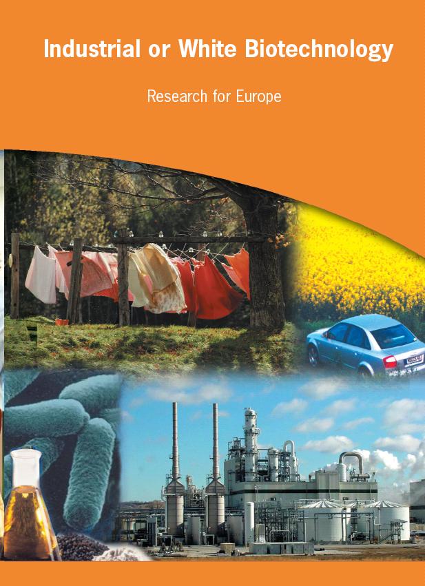 Strategic Research Agenda for IB Objectives: The development and production of novel, innovative products and processes in a