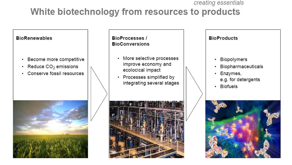 Industrial Biotech is key to the Biobased Economy (KBBE) The Knowledge-Based Bio-Economy: