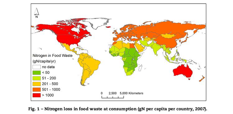 Nitrogen loss in food waste at
