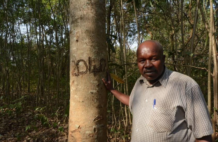 Mr Ohuru developed a passion for tree based innovations from a neighboring champion forester and regularly receives advice from the district forest officer.
