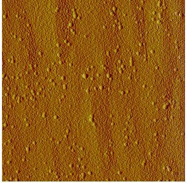a b d c e Figure 3.7: 5 5μm2 AFM images of surface InAs QDs under different growth conditions.
