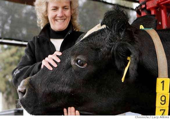 Biotech Beef and Cloned Cows: Does Animal Biotechnology have a Future? Alison Van Eenennaam, Ph.D. Cooperative Extension Specialist Animal Biotechnology and Genomics University of California, Davis alvaneenennaam@ucdavis.